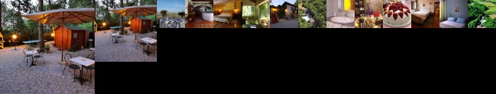 Agriturismo Il Paradiso Asciano