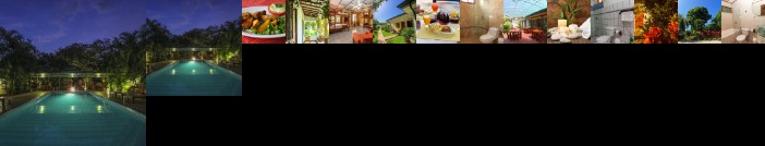 Hotel La Rosa de America