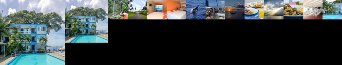 Anchorage Hotel Roseau