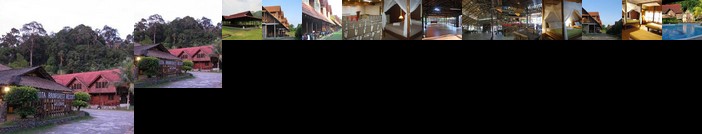 Kota Rainforest Resort