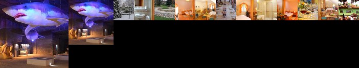 Vadaszkurt Panzio es Etterem