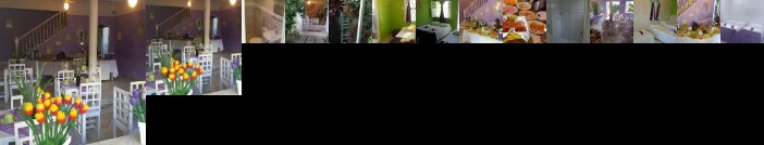 Hotel Pousada Papaya Verde