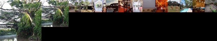 Fig Tree Camp - Maasai Mara