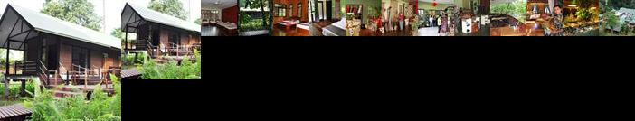 Gunung Mulu National Park