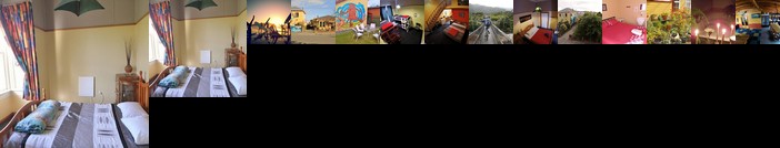 Bazil's Hostel & Surf School