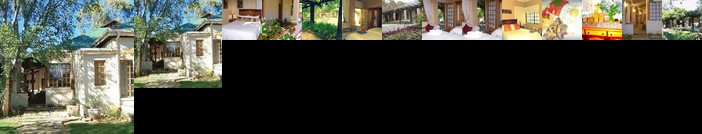 Top House Bed and Breakfast