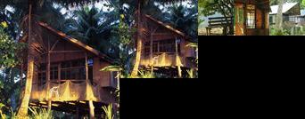 Storyboard Beach Resort