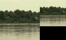 Selous Wilderness Camp