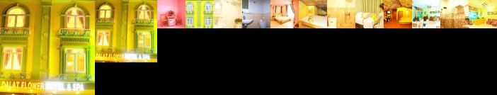 Dalat Flower Hotel & Spa