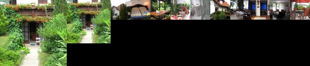 Pergola Panzio Budakeszi