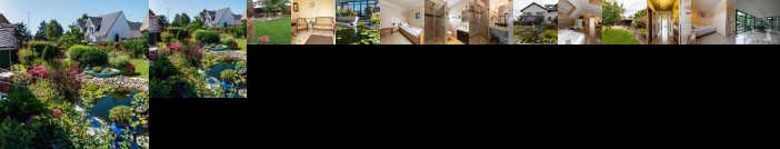 Business Pension Gasper