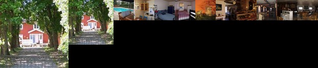 Hasten och Hunden B&B