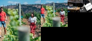 Villa Miramar at Casa Marin Vineyards