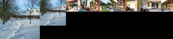 Bed & Breakfast de Wandhorst