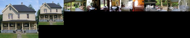 Wild Swan Bed and Breakfast