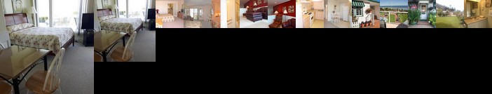 Buena Vista by the Sea