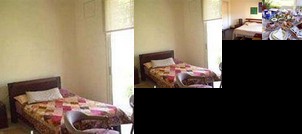 Tam Tam Et Pomme De Pin