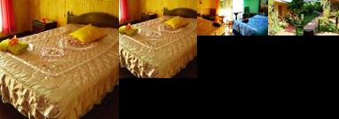 Busqueda del Viajero