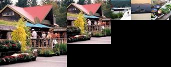 Departure Bay Bed and Breakfast