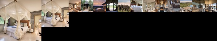 Mhondoro Safari Lodge & Villa