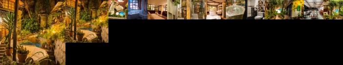 Gringo Bill's Boutique Hotel