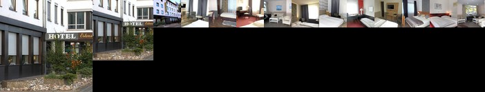 Hotel Erlenstegen