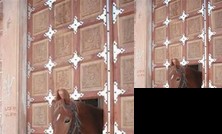 Rawla Rewda Home Stay and Horse Safari