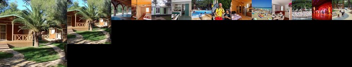 Camping La Torre del Sol