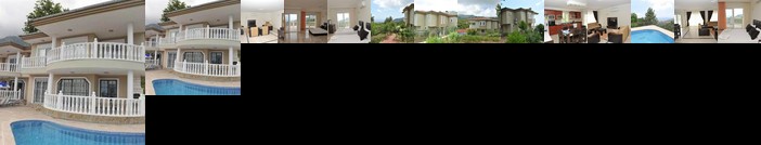 Best House Villa Park