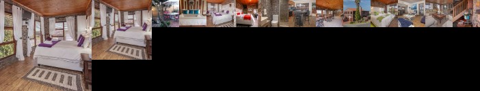 White Shark Guest House