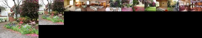 Anabel's of Scottsdale