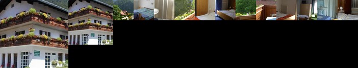 Haus Alpenrose Obertraun