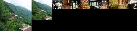 Demircioglu Ortan Koyu Konagi