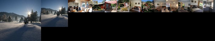 Alpine Springs Motel