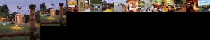 Amakhosi Safari Lodge & Spa
