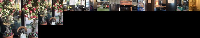 Business Green Hotel Yokaichi