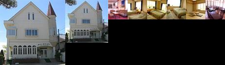 Pension Pampas Grass