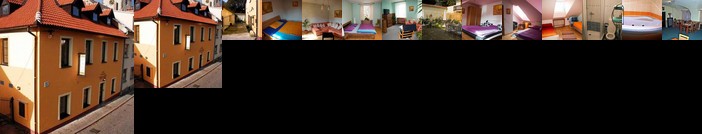 Hotel Pod Vezi Vysoke Myto