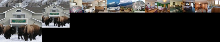 Yellowstone Basin Inn