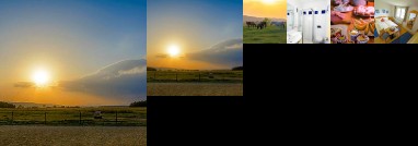 Bio-Pferdehof Fabian