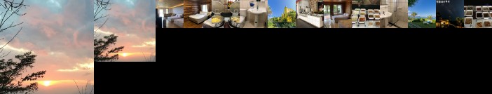 Cingjing Brilliant Twins of Seattle