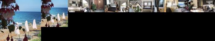 Shady Shores Beach Resort