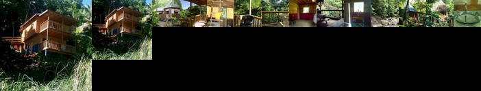 Roots Jungle Retreat