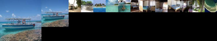 Bed and Breakfast Tikehau - Hostel