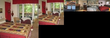 Belita Bed and Breakfast Ottawa Riverview