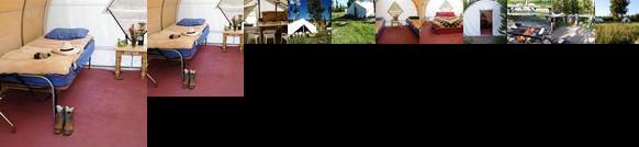 Bedroll and Breakfast