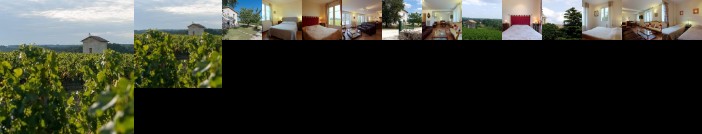 Les Raisins du Bonheur