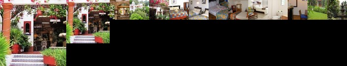 Eco-hotel El Rey del Caribe