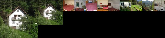 Ferienhaus Erlaufboden