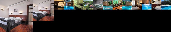 Villa Aurelia Naleczow